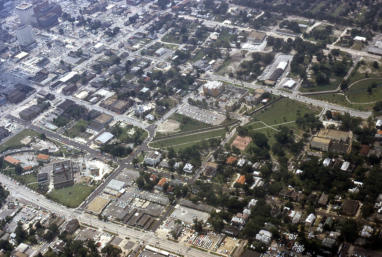 THE JAXSON | The oak tree that remembers Black Bottom — Jacksonville Today, Seattle Schools news
